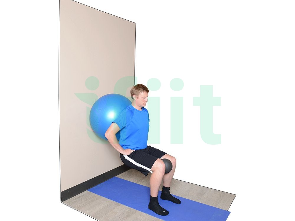 Wall Squat + Adductor Contraction (Ball)1