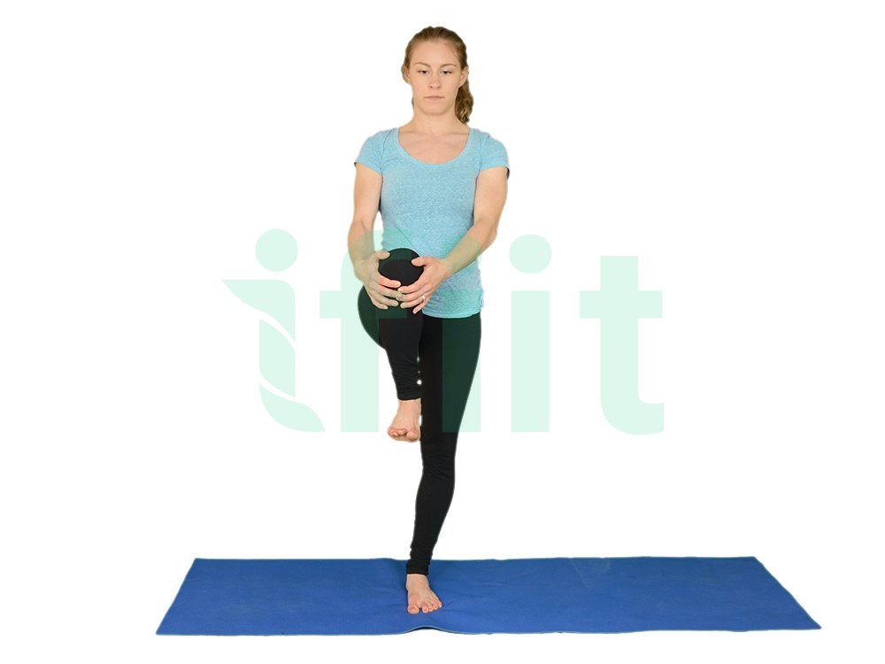 Shiva Twist (One Leg Balance-Twist)